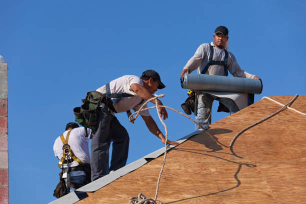 Best Residential Roofing Contractor  in Chicago Heights, IL