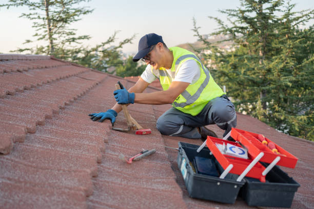 Best Storm Damage Roof Repair  in Chicago Heights, IL