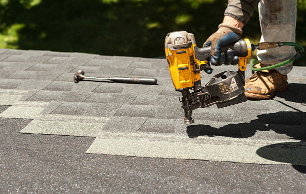 Best Roof Gutter Cleaning  in Chicago Heights, IL